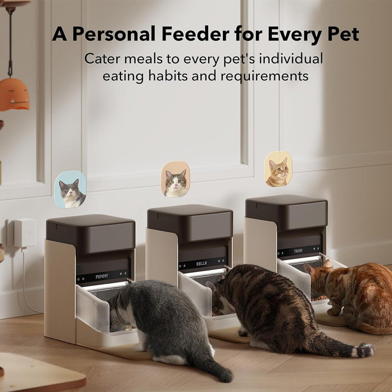 Individual cat feeder cheap